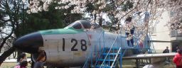 blog060409-f86.jpg