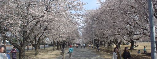blog06040903.jpg