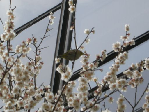 blog07021002.jpg