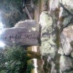 2009123013580001.jpg