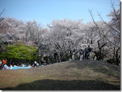 DSCN3780